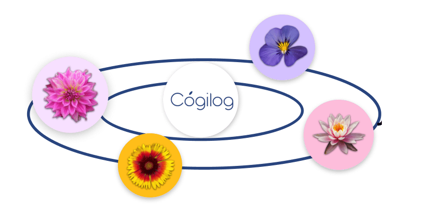 Cogilog liens entre logiciels