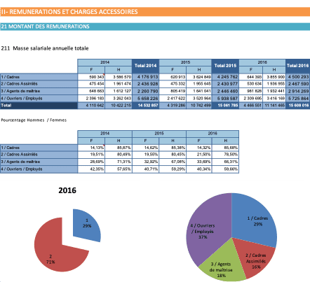 Bilan social - Masse salariale par catégorie