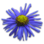 COGILOG Honoraires