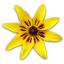 COGILOG SCI